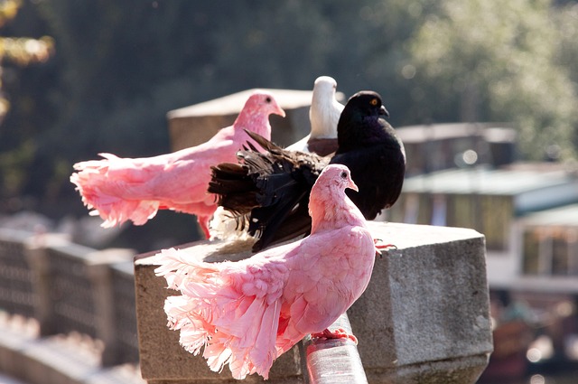 总台记者直击丨德国提前举行联邦议院选举 5900万选民期待变革.