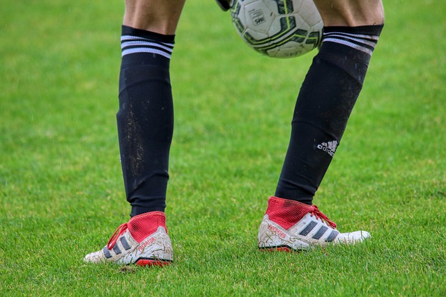 也為行業的 也為行業的