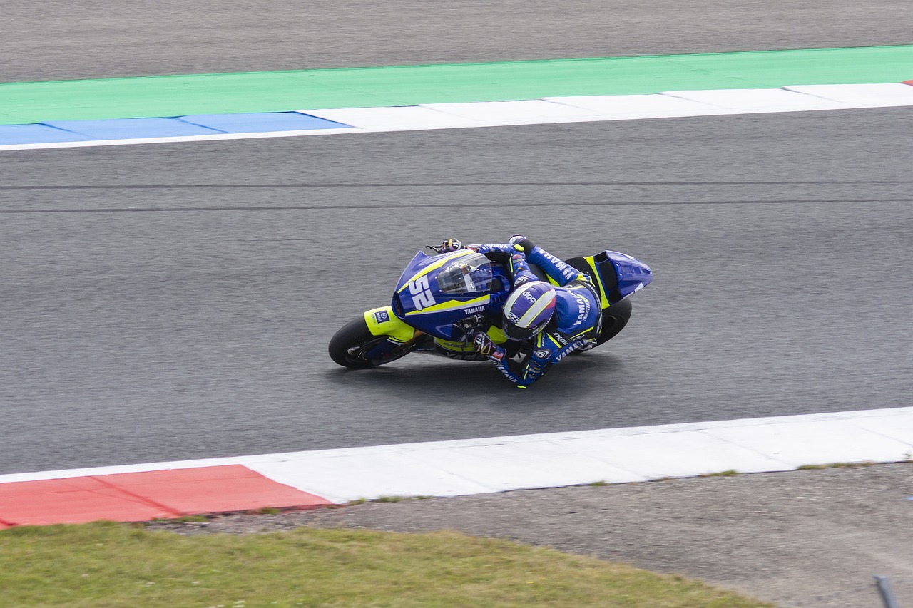 队揭示了 队揭示了